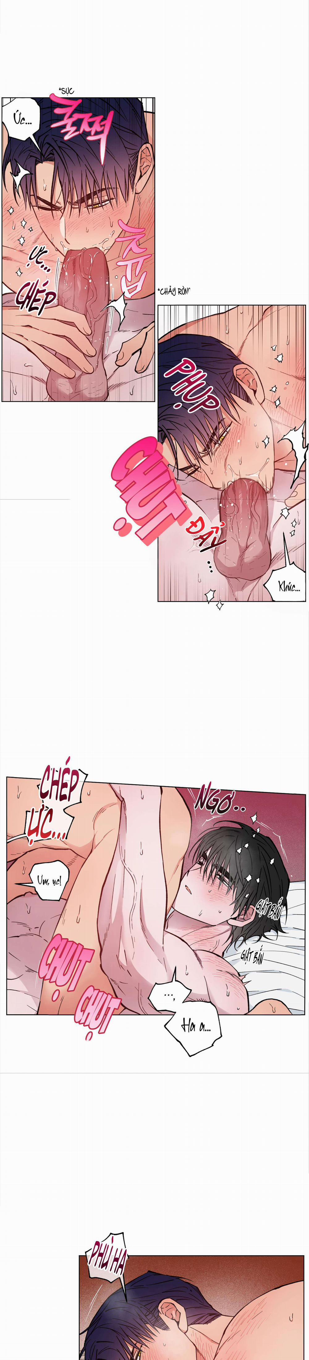 Bình Minh Trên Sông Mây 19 trang 3