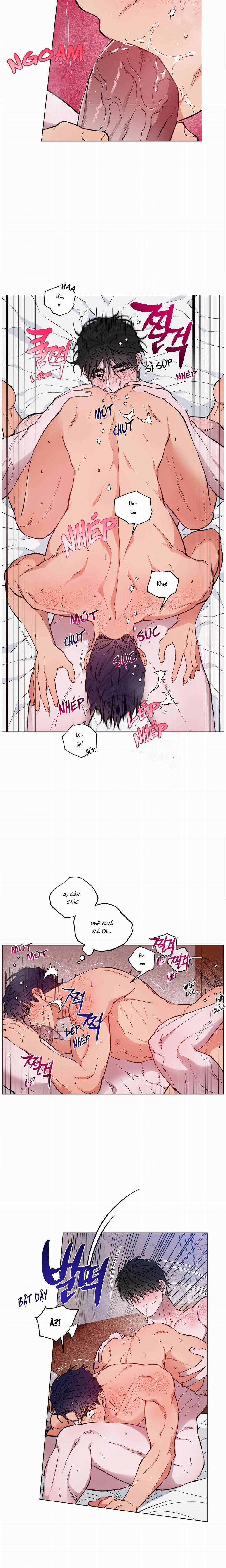 Bình Minh Trên Sông Mây 19 trang 8