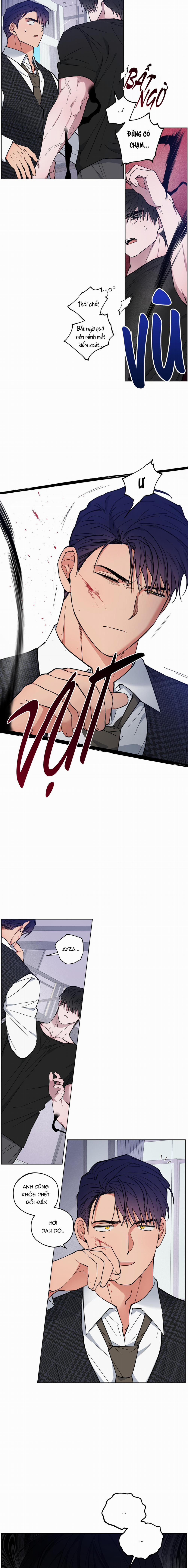 Bình Minh Trên Sông Mây 22 trang 10