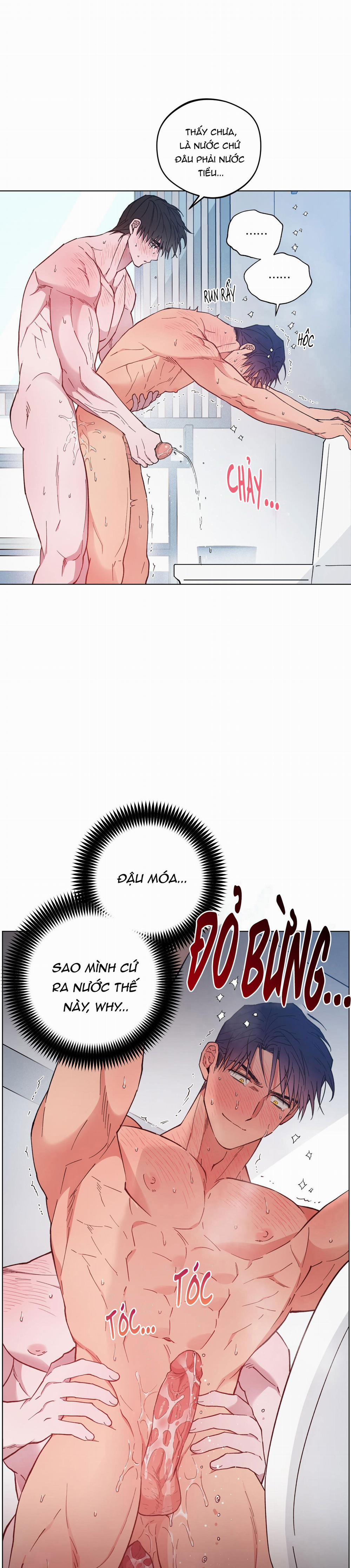 Bình Minh Trên Sông Mây 28 trang 15