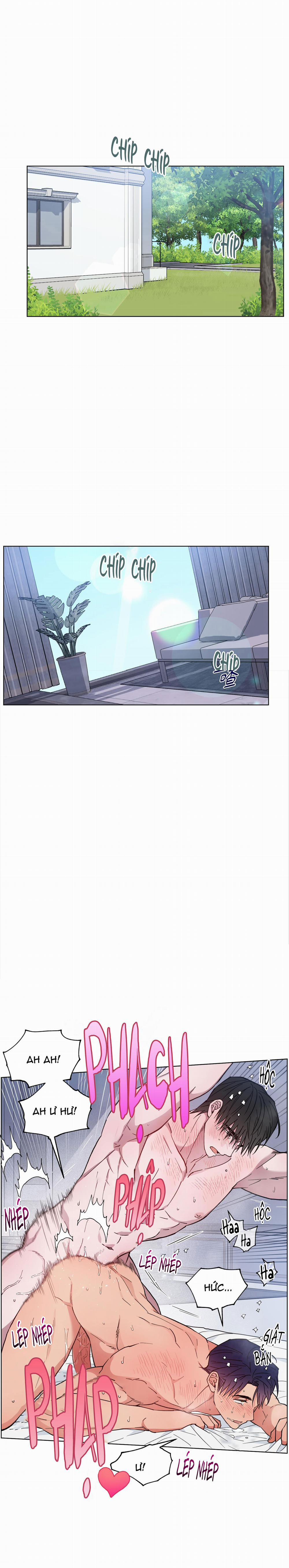 Bình Minh Trên Sông Mây 29 trang 5