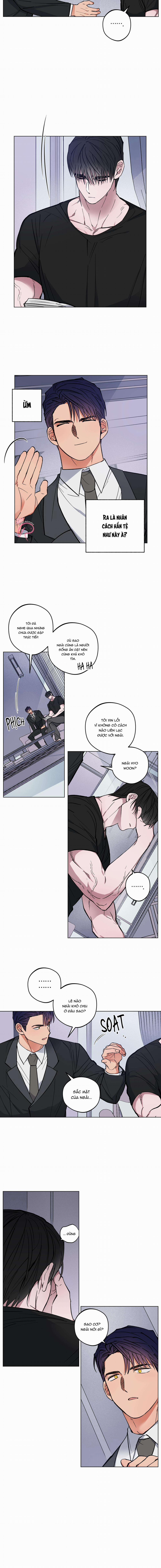 Bình Minh Trên Sông Mây 3 trang 4