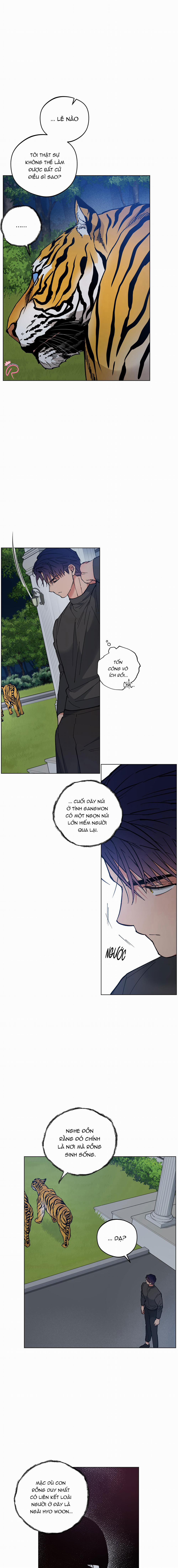 Bình Minh Trên Sông Mây 31 trang 10