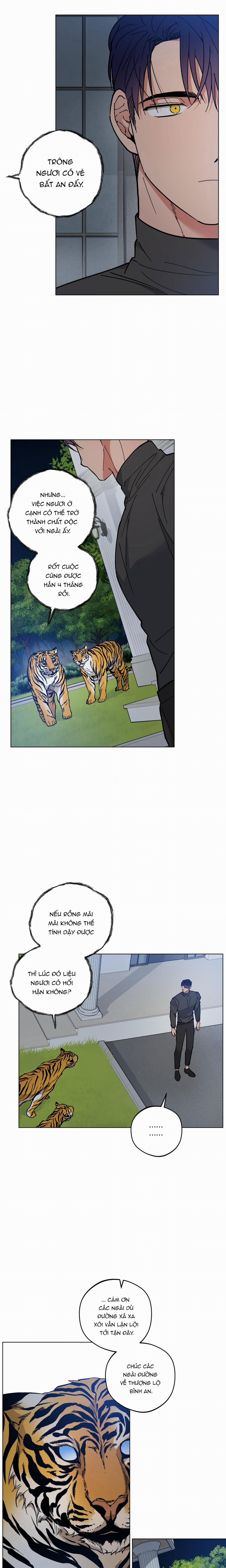 Bình Minh Trên Sông Mây 31 trang 8