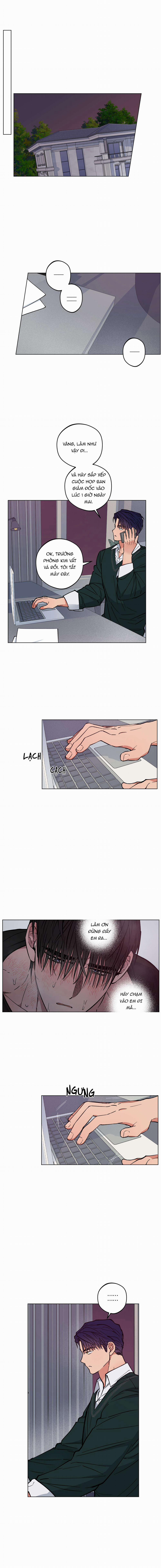 Bình Minh Trên Sông Mây 8 trang 9