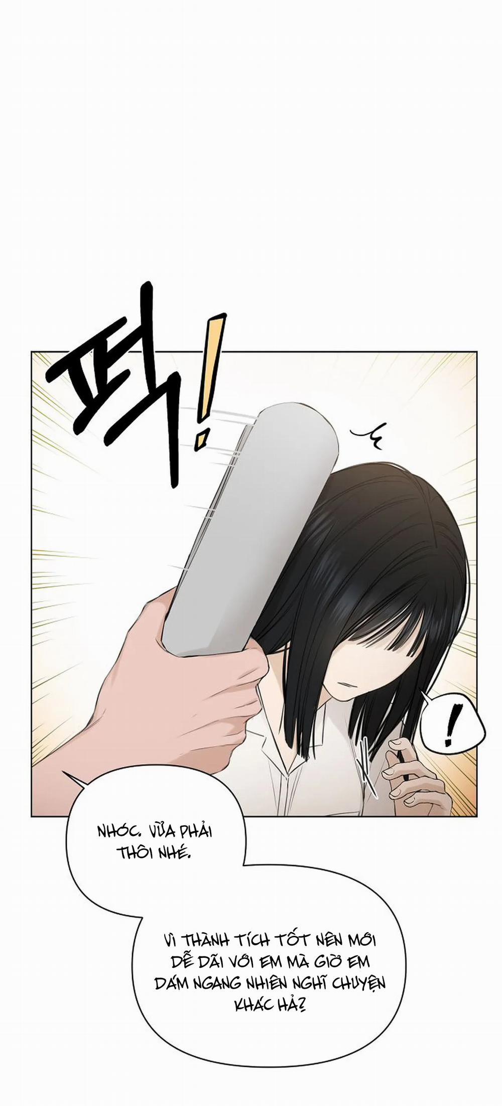 Bình Minh 8.1 trang 28