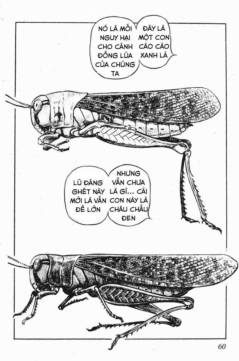 Binh Pháp Mặc Công 43 trang 2