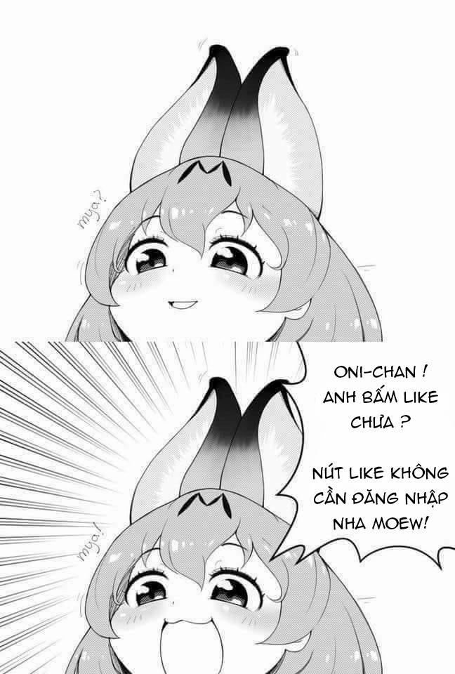 BITCH SISTERS SUPER (Dragon Ball Super) Oneshot trang 21