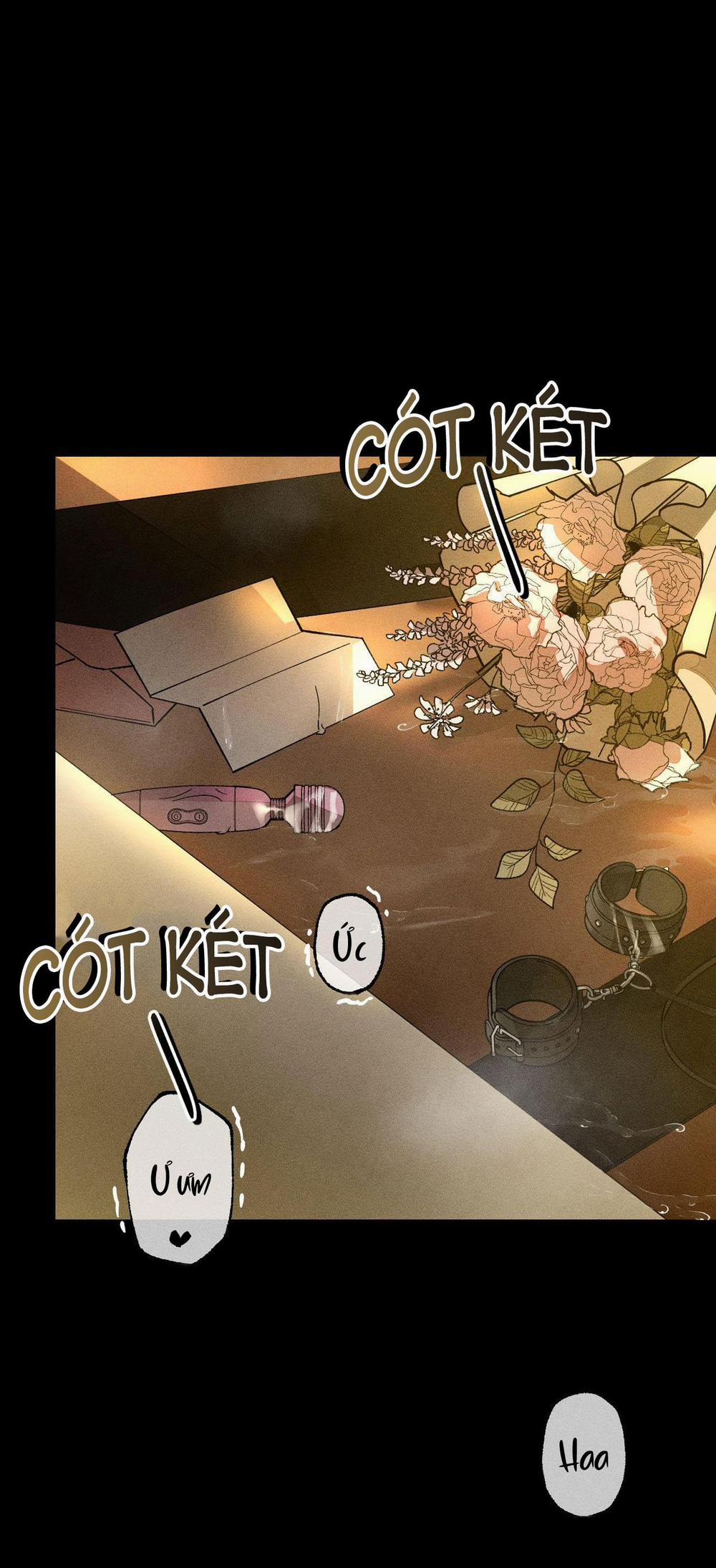 BL NGẮN CHỊCH HỎNY 20.1 0 1 trang 4