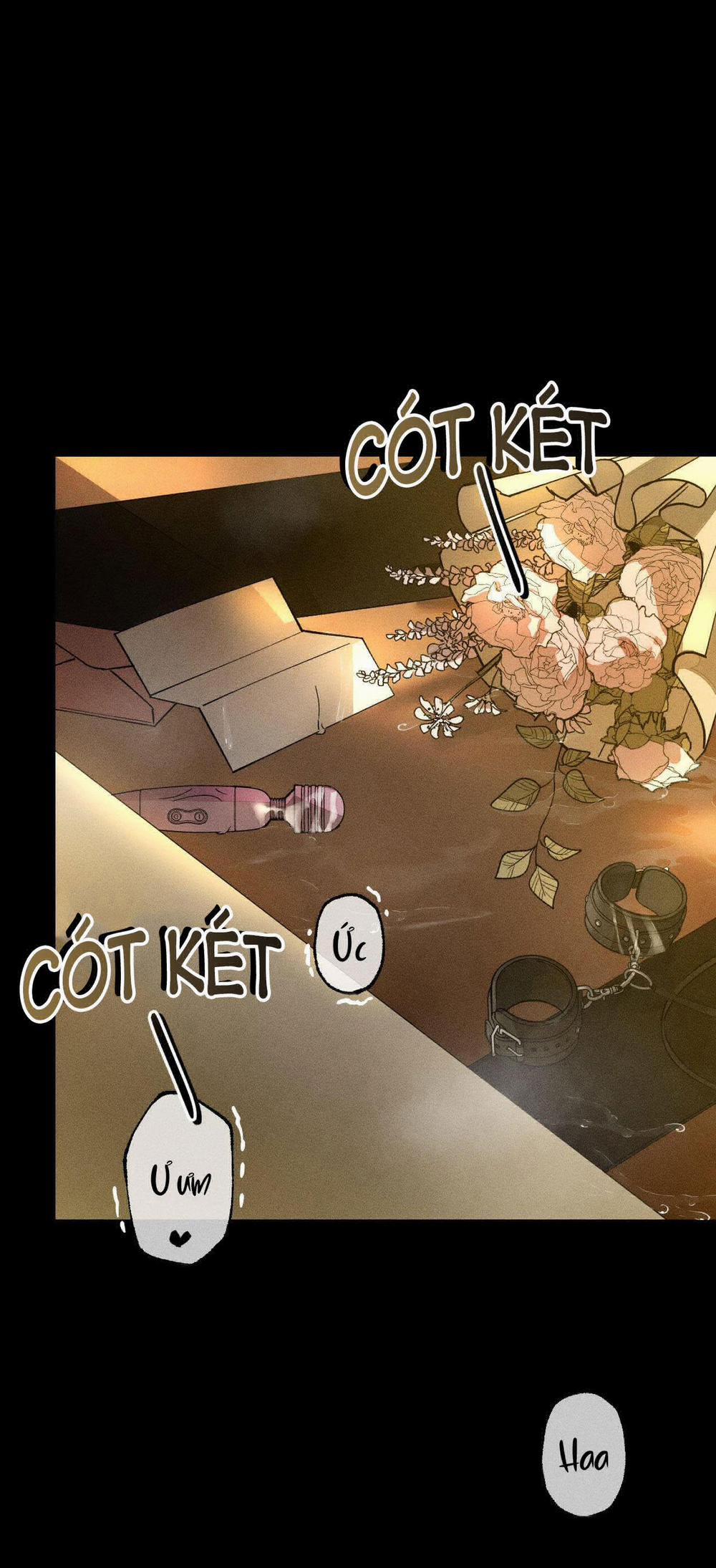 BL NGẮN CHỊCH HỎNY 20.1 trang 4