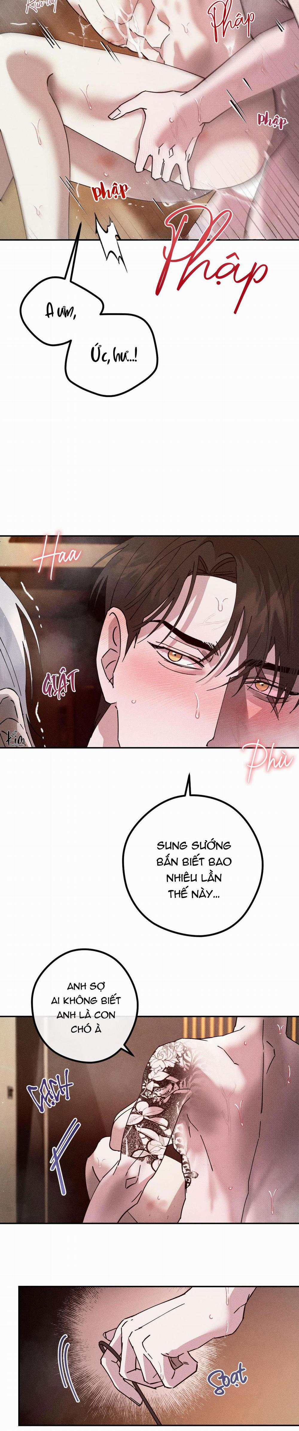 BL NGẮN CHỊCH HỎNY 20.4 0 end trang 11