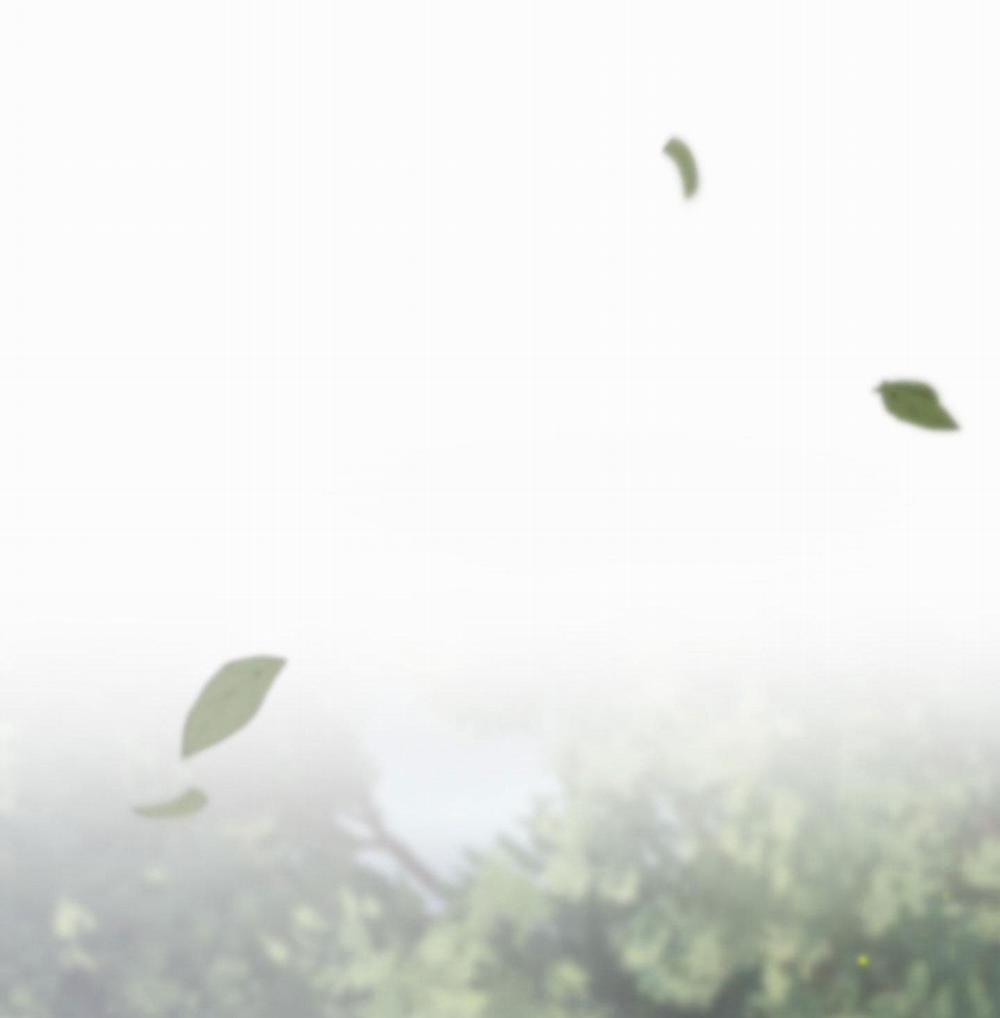 BL NGẮN CHỊCH HỎNY 22.2 ĐỊA ĐÀNG 2 trang 38