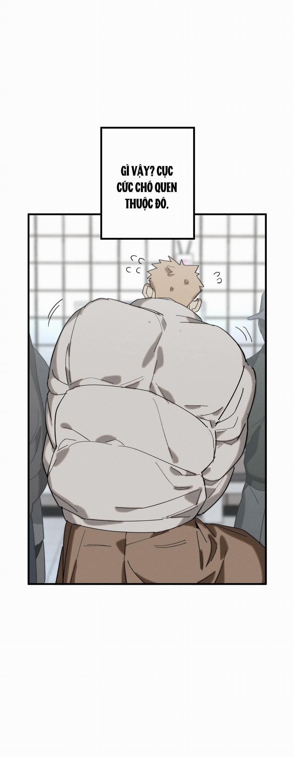 BL NGẮN CHỊCH HỎNY 52.3 vanss 3 trang 14