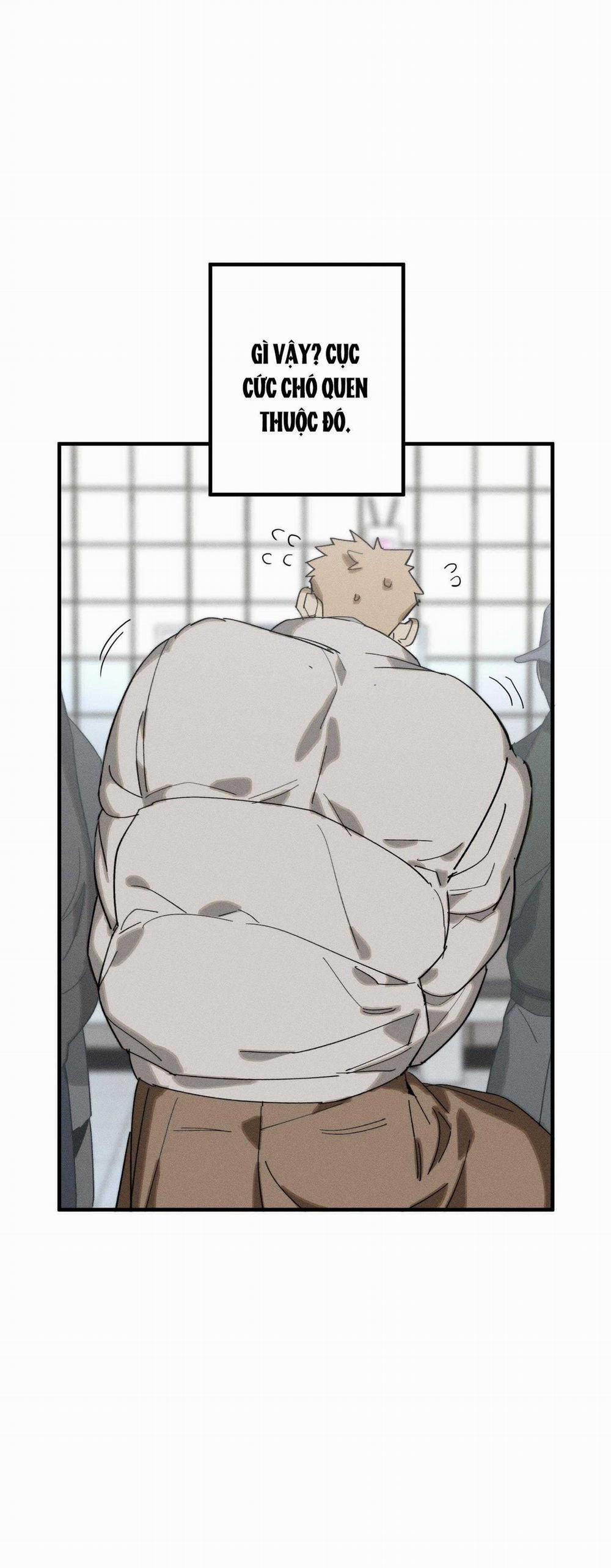 BL NGẮN CHỊCH HỎNY 52.3 trang 14