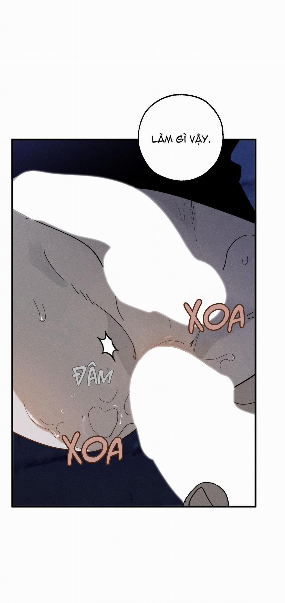 BL NGẮN CHỊCH HỎNY 52.5 vanss 5 trang 46