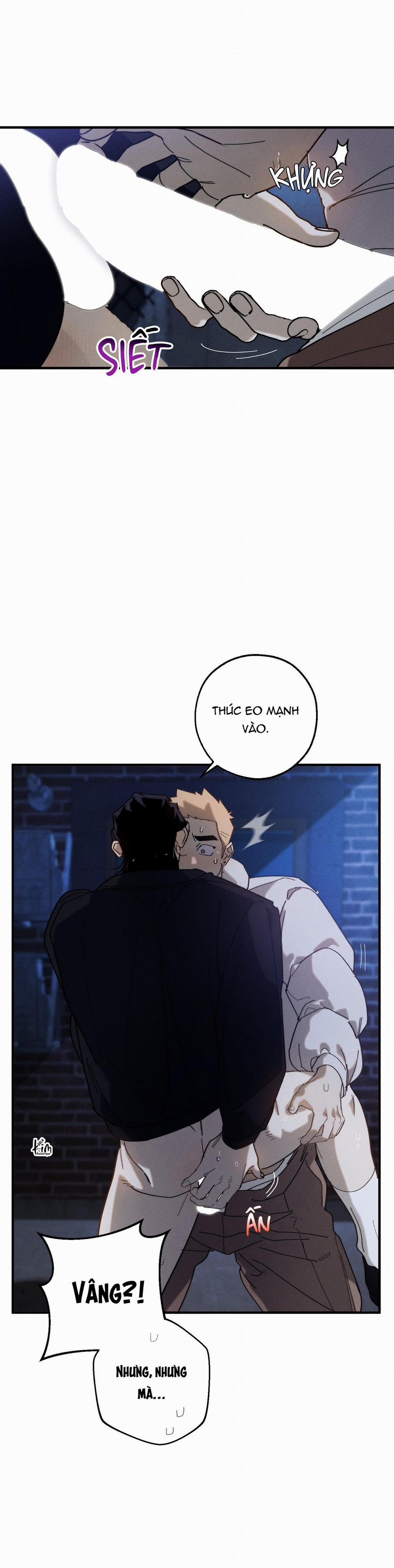 BL NGẮN CHỊCH HỎNY 52.5 vanss 5 trang 49