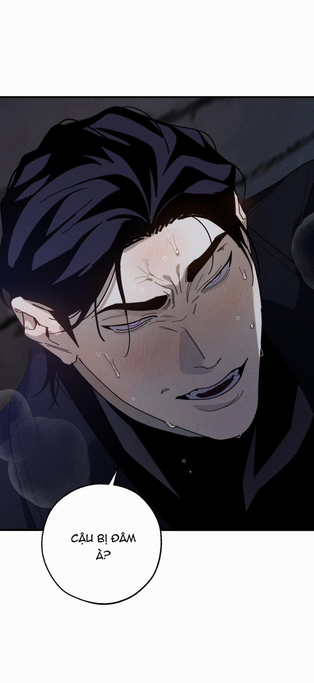 BL NGẮN CHỊCH HỎNY 52.5 vanss 5 trang 50