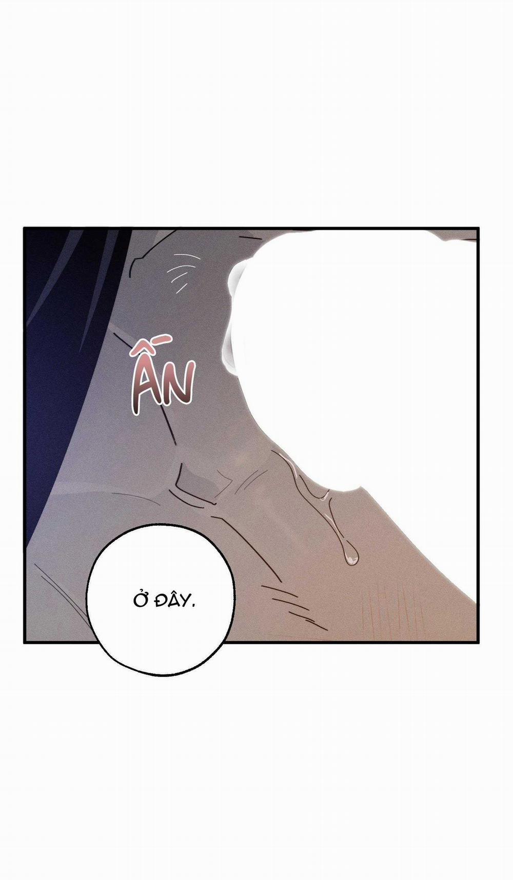 BL NGẮN CHỊCH HỎNY 52.5 trang 53