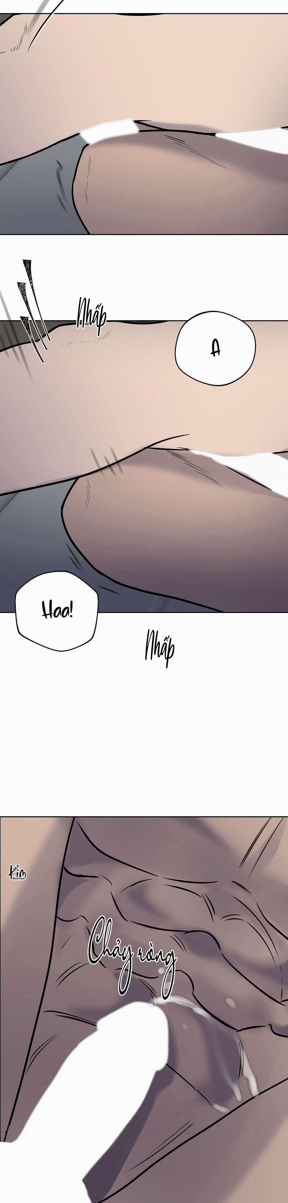 BL NGẮN CHỊCH HỎNY 54.3 không gấp 3 trang 15