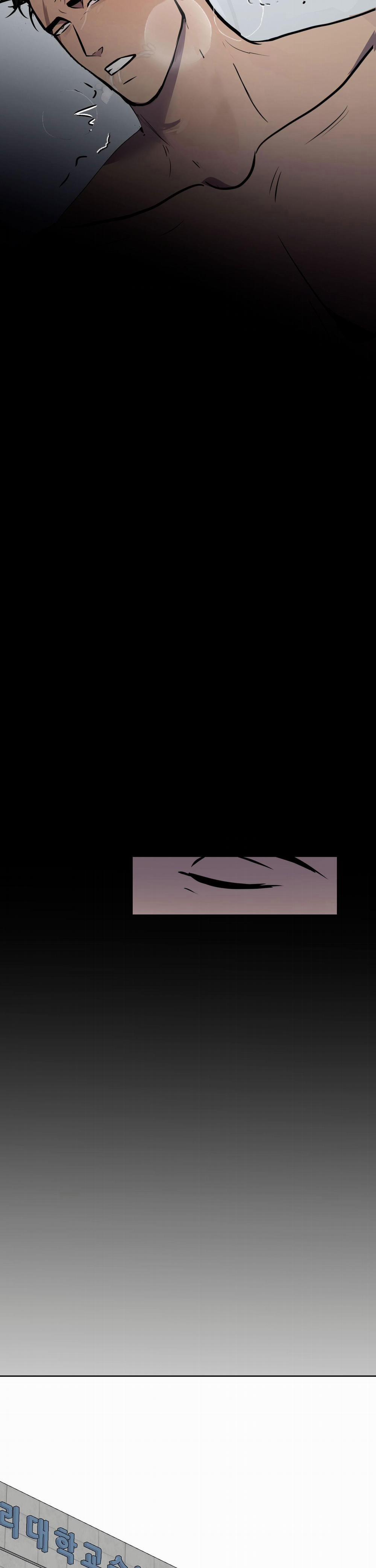 BL NGẮN CHỊCH HỎNY 54.3 không gấp 3 trang 22