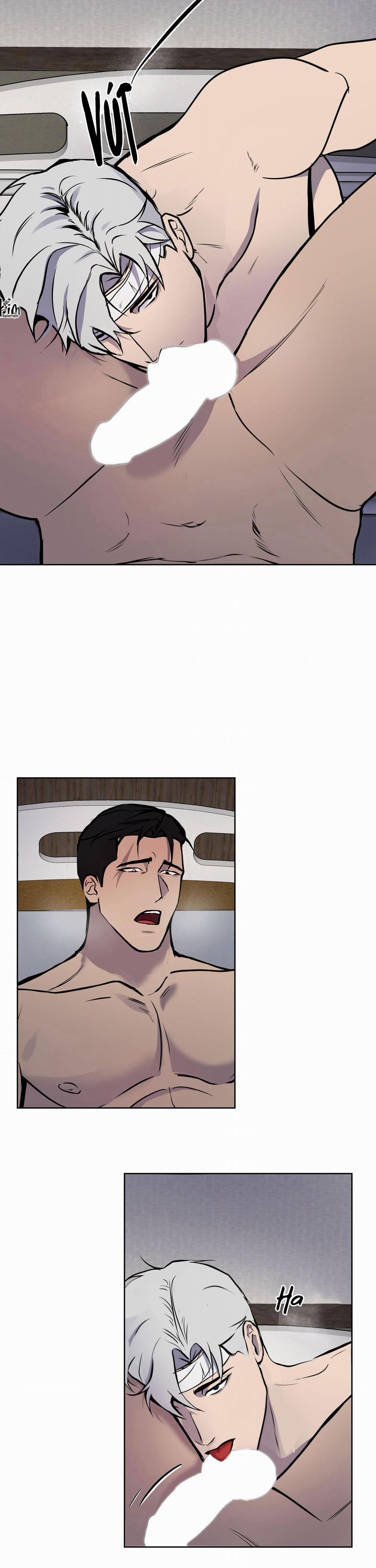 BL NGẮN CHỊCH HỎNY 54.3 không gấp 3 trang 4