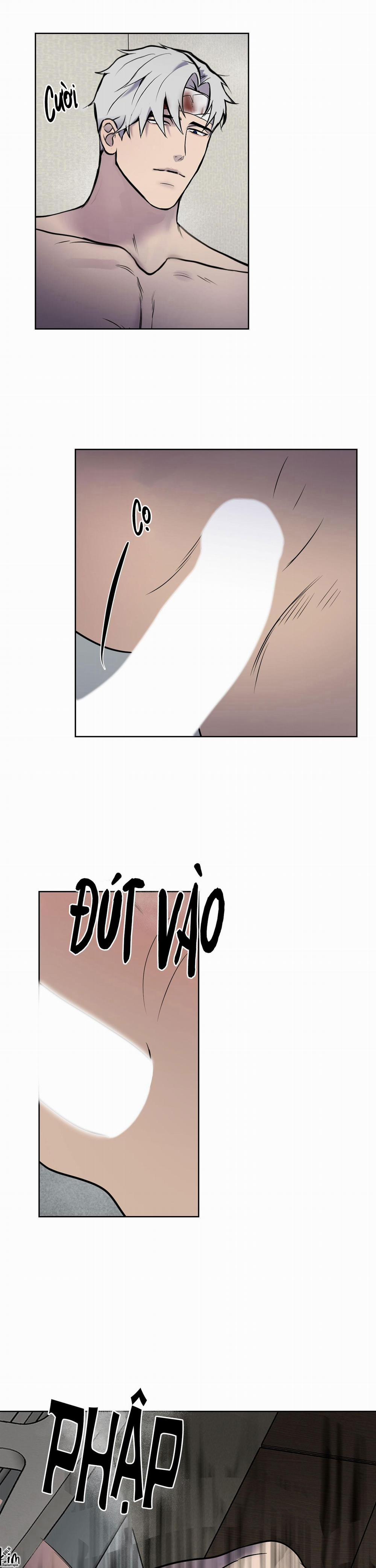 BL NGẮN CHỊCH HỎNY 54.3 không gấp 3 trang 7