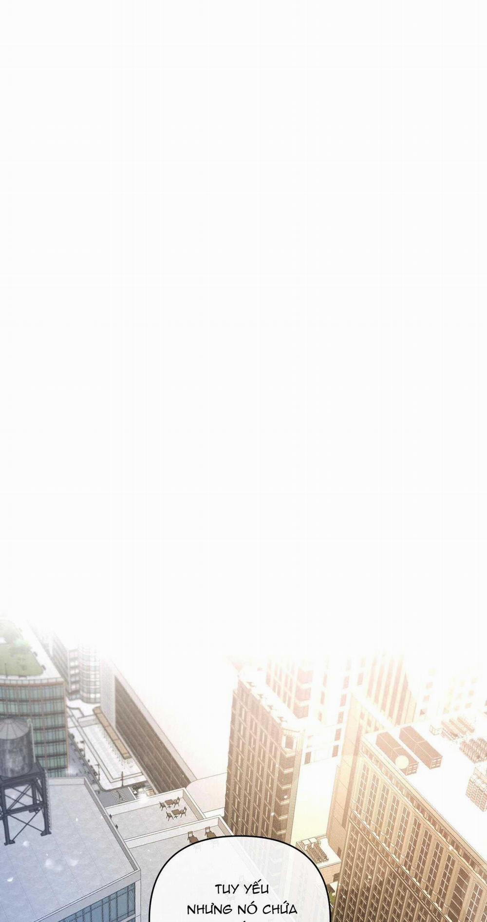 Blood Guide 12 trang 36