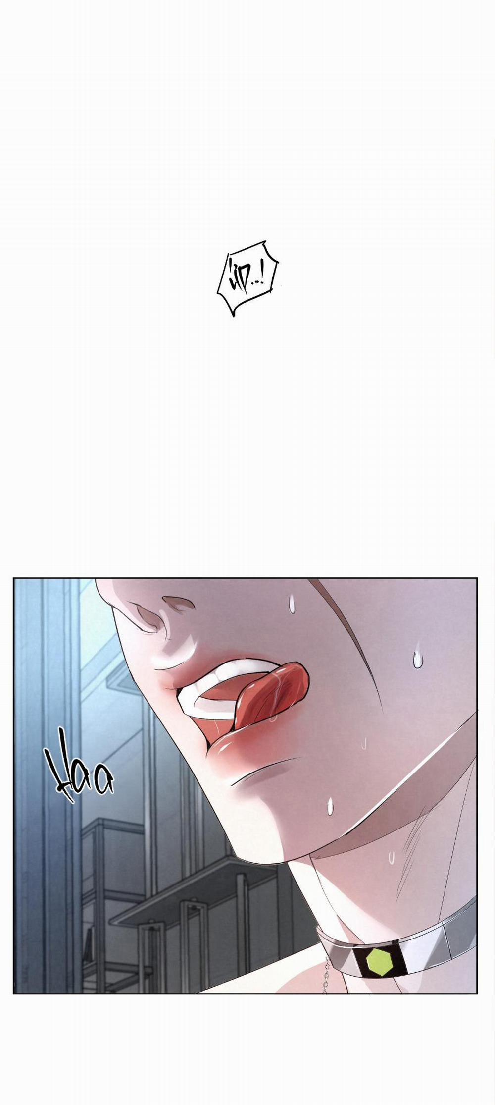 Blood Guide 18 trang 0