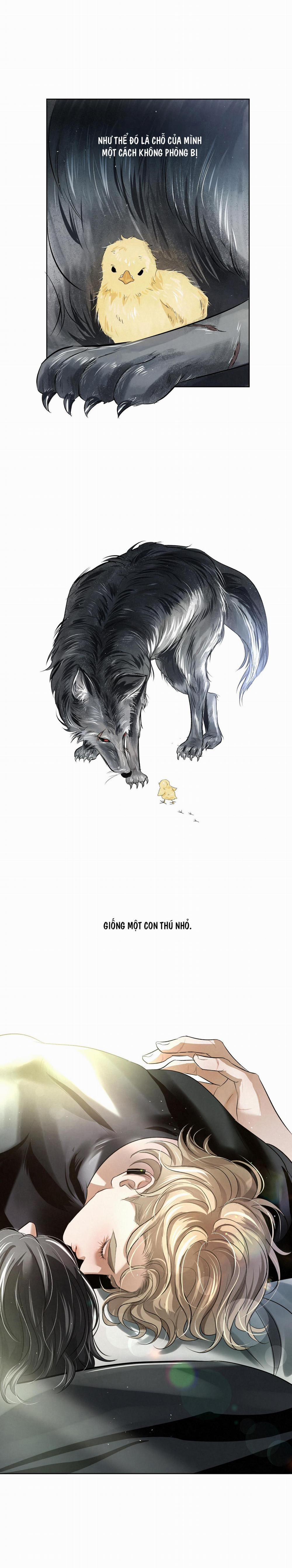 Blood Guide 24 trang 26