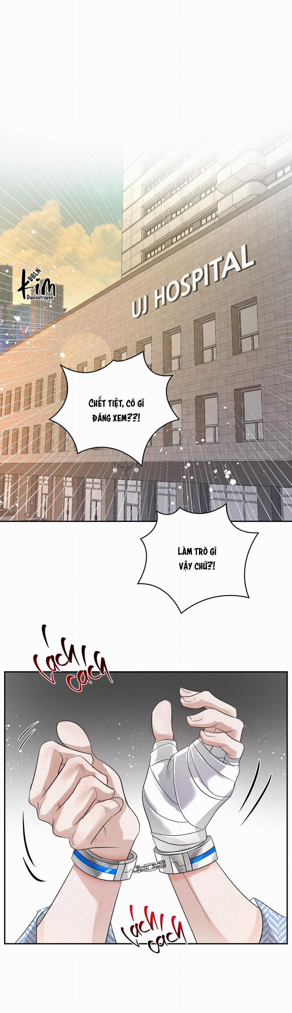 Blood Guide 33 trang 10