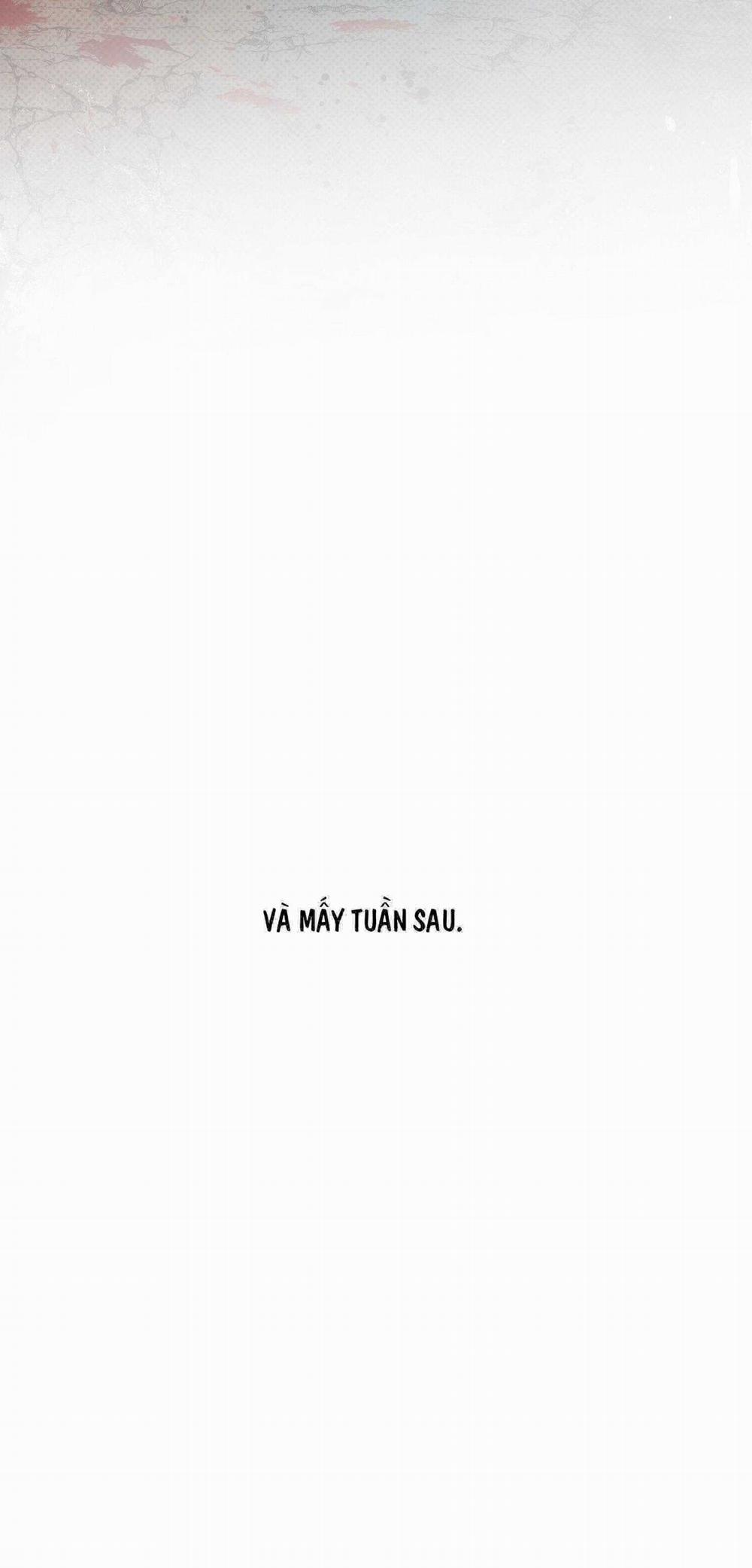 Blood Guide 43 trang 30