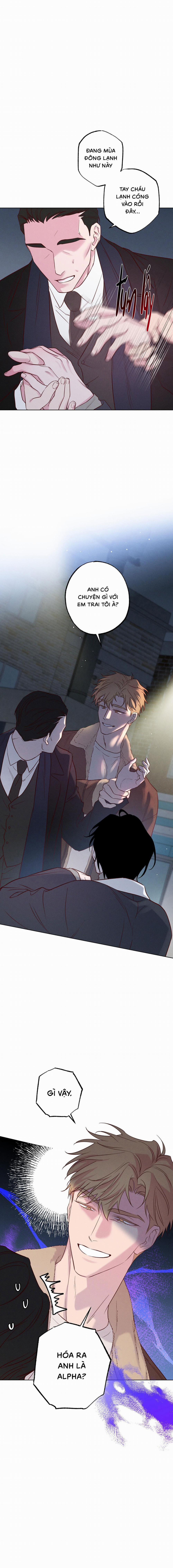 BỜ BIỂN NƠI CON SÓNG THUỘC VỀ 24 trang 0