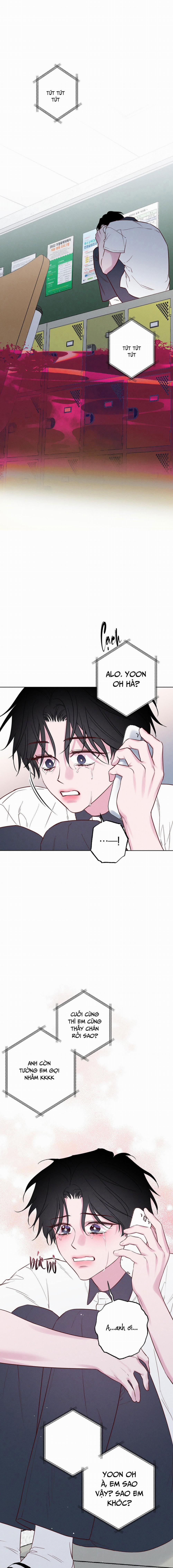 BỜ BIỂN NƠI CON SÓNG THUỘC VỀ 24 trang 13