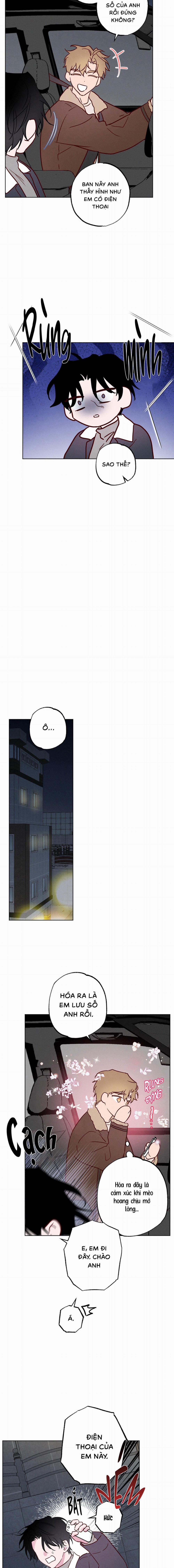 BỜ BIỂN NƠI CON SÓNG THUỘC VỀ 24 trang 5