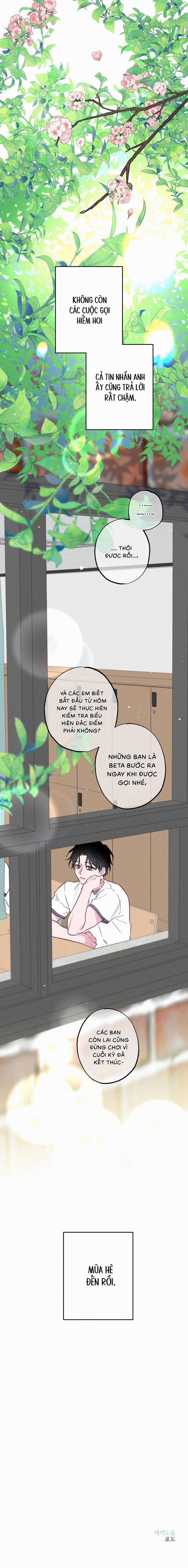 BỜ BIỂN NƠI CON SÓNG THUỘC VỀ 25 trang 13