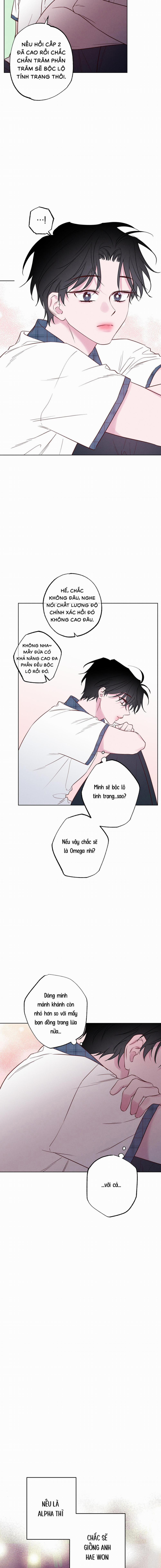 BỜ BIỂN NƠI CON SÓNG THUỘC VỀ 26 trang 1