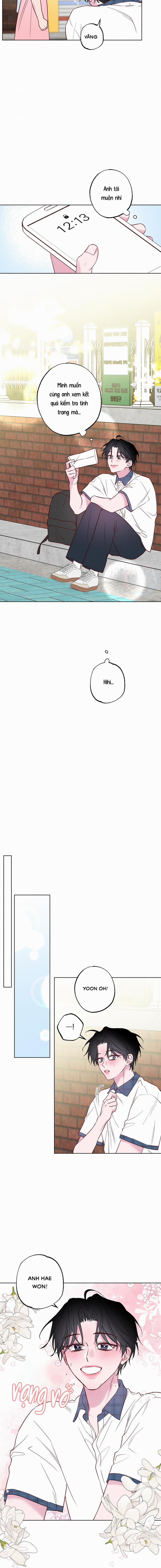 BỜ BIỂN NƠI CON SÓNG THUỘC VỀ 26 trang 6