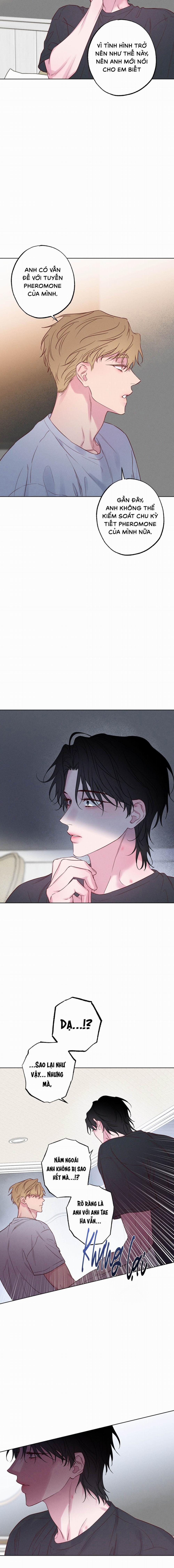 BỜ BIỂN NƠI CON SÓNG THUỘC VỀ 28 trang 13