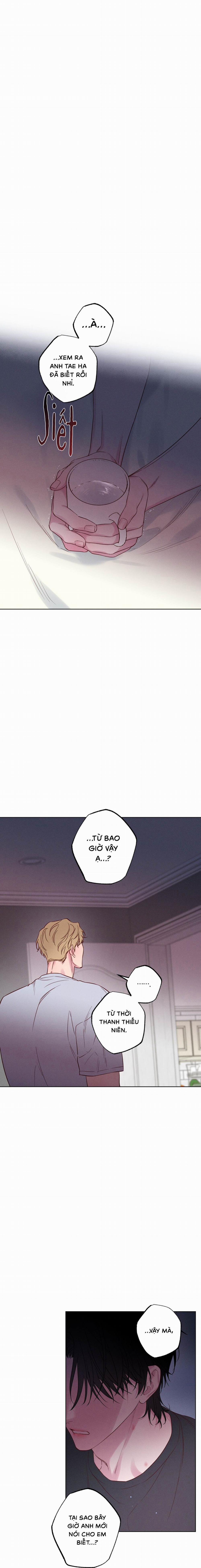 BỜ BIỂN NƠI CON SÓNG THUỘC VỀ 28 trang 14