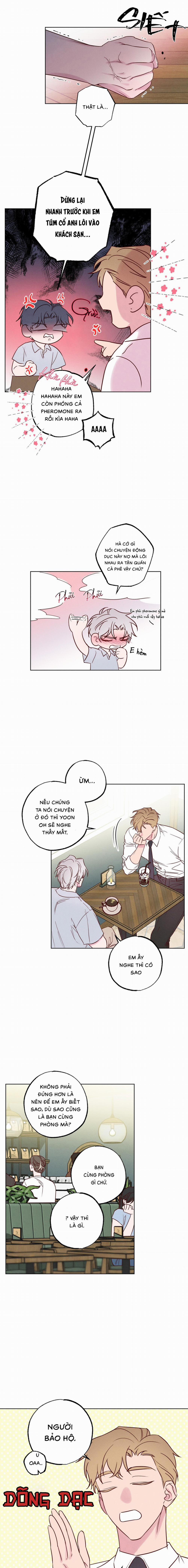 BỜ BIỂN NƠI CON SÓNG THUỘC VỀ 3 trang 5