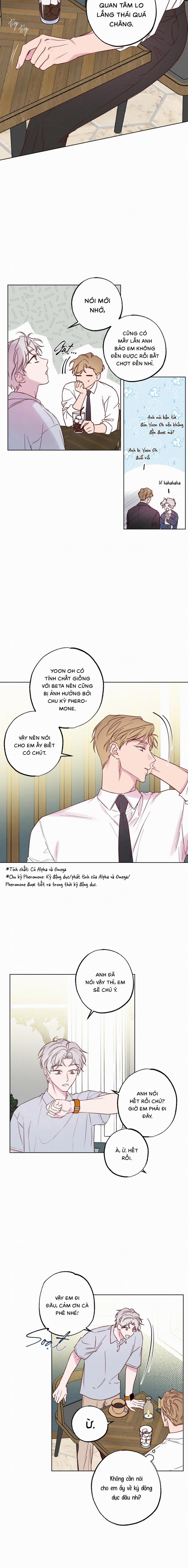 BỜ BIỂN NƠI CON SÓNG THUỘC VỀ 3 trang 9