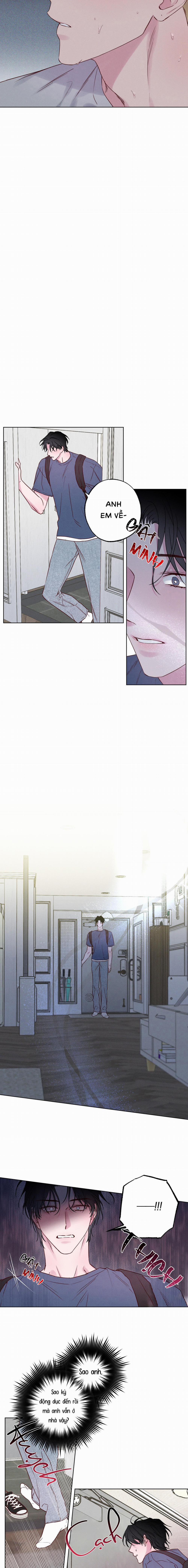 BỜ BIỂN NƠI CON SÓNG THUỘC VỀ 4 trang 11