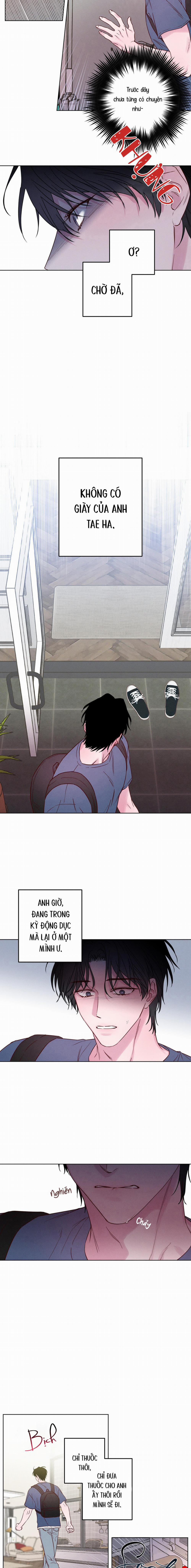 BỜ BIỂN NƠI CON SÓNG THUỘC VỀ 4 trang 12