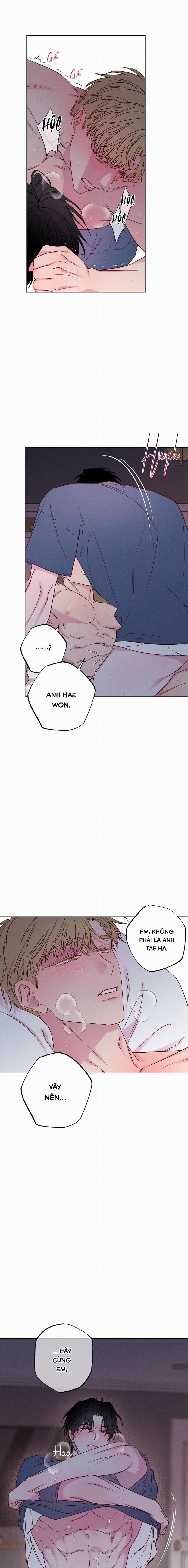 BỜ BIỂN NƠI CON SÓNG THUỘC VỀ 5 trang 13