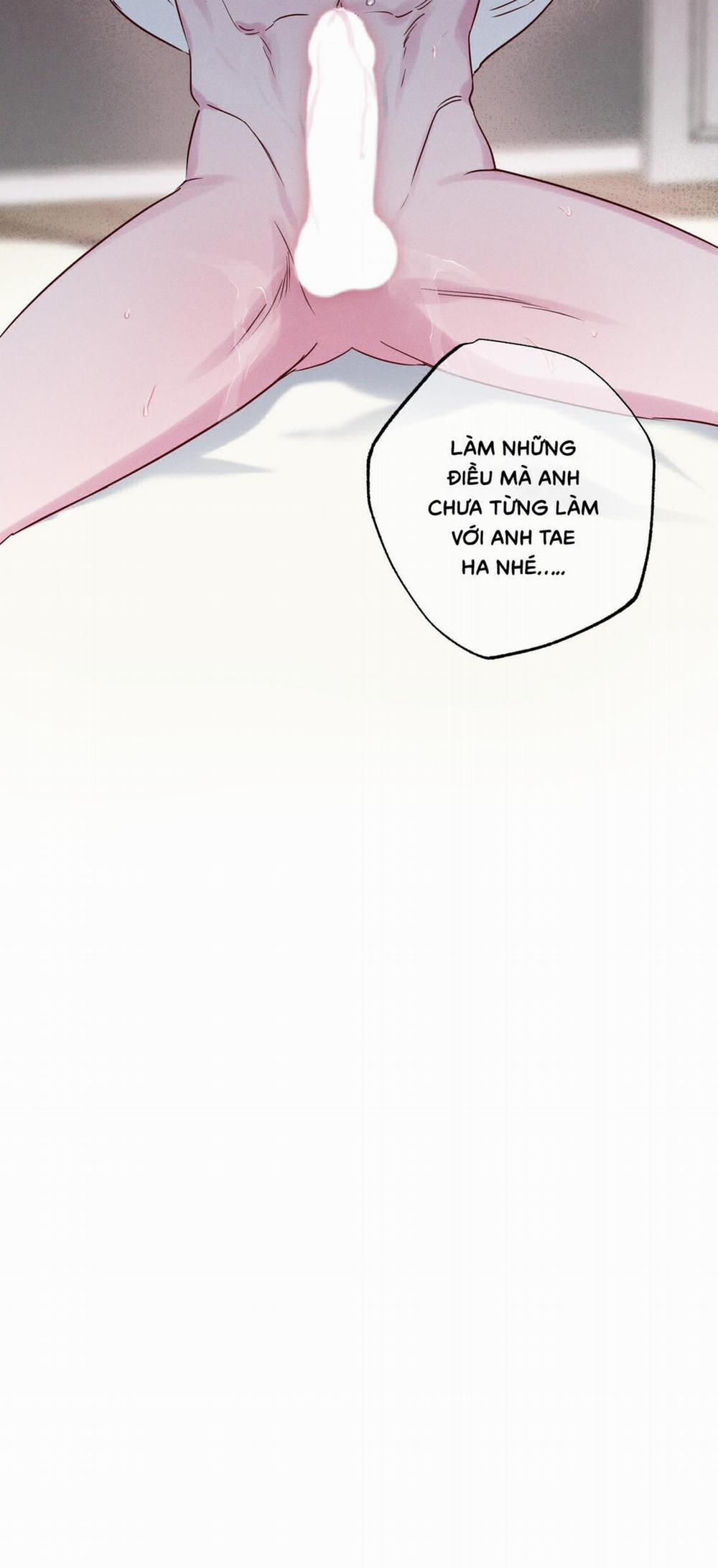 BỜ BIỂN NƠI CON SÓNG THUỘC VỀ 5 trang 14