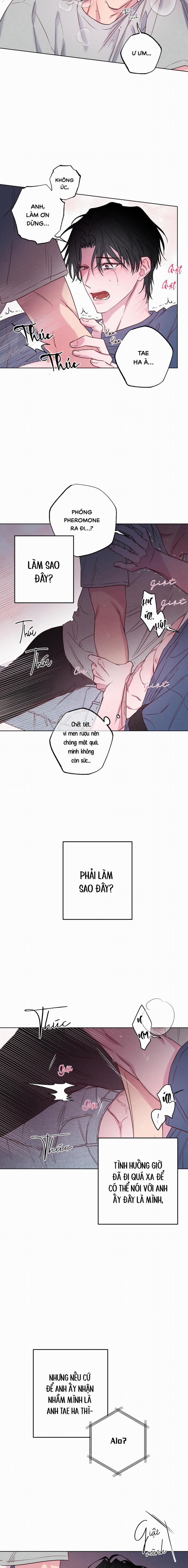 BỜ BIỂN NƠI CON SÓNG THUỘC VỀ 5 trang 6