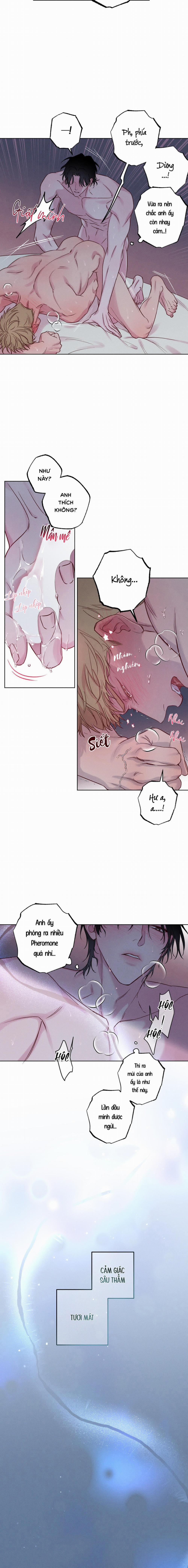 BỜ BIỂN NƠI CON SÓNG THUỘC VỀ 6 trang 7