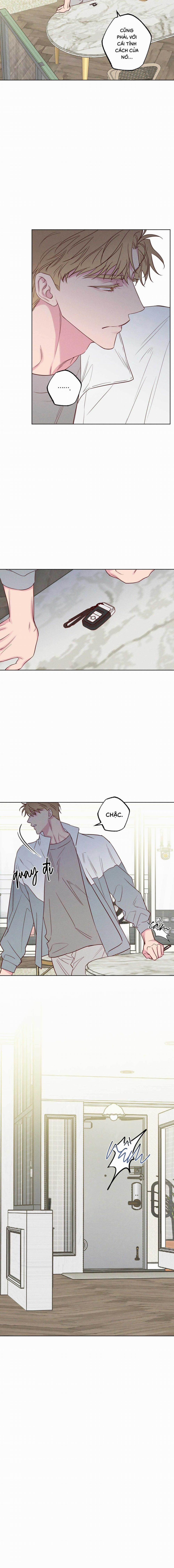 BỜ BIỂN NƠI CON SÓNG THUỘC VỀ 8 trang 11