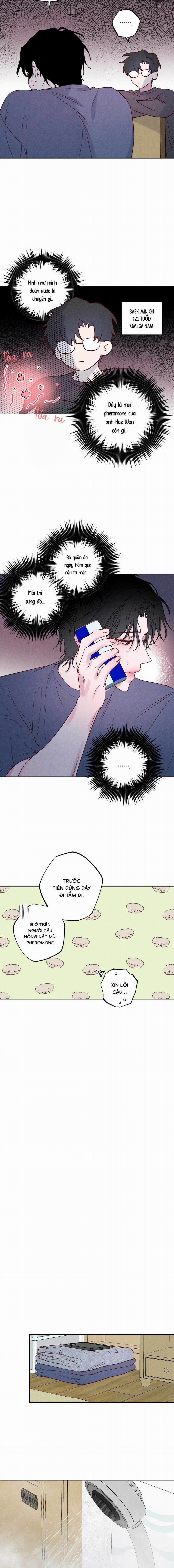 BỜ BIỂN NƠI CON SÓNG THUỘC VỀ 8 trang 7