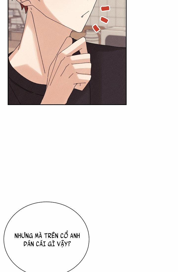 BỘ NHỚ GIẢ DƯỢC 11 trang 29